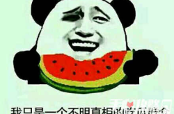 娱乐吃瓜酱聊天梗在哪,揭秘热门聊天梗背后的故事