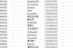 mid函数,文本提取与处理的强大工具