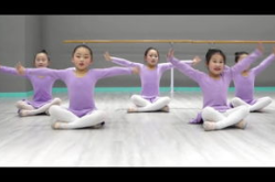 兰花草舞蹈,探寻民族风情的舞蹈魅力
