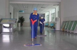 上海南汇保洁公司